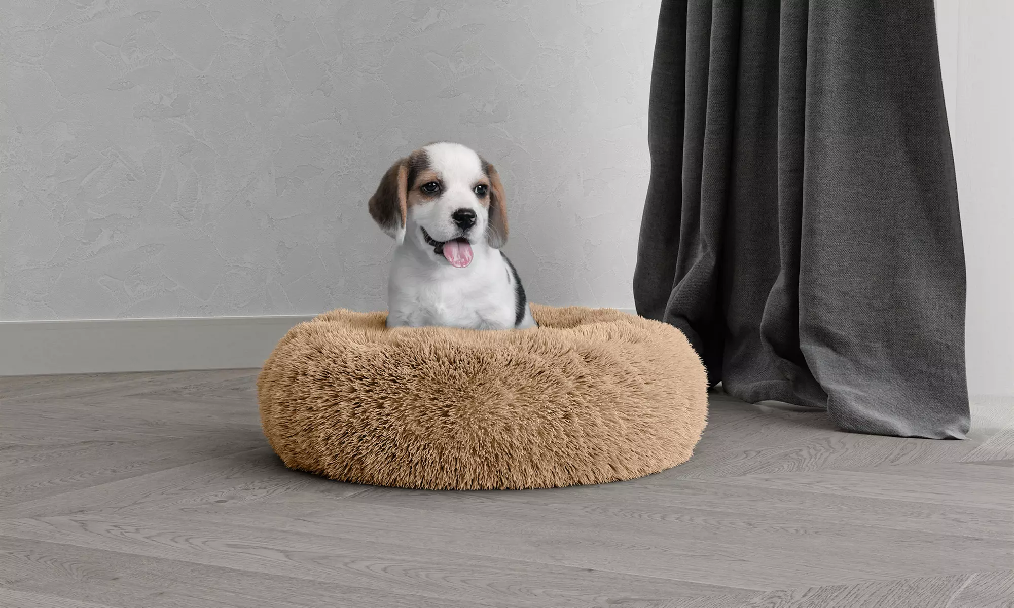Rundes Haustierbett „DREAMS“ mit erhöhtem Rand