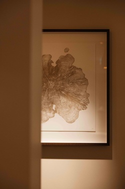 Montcalm Spa Relaxation Room