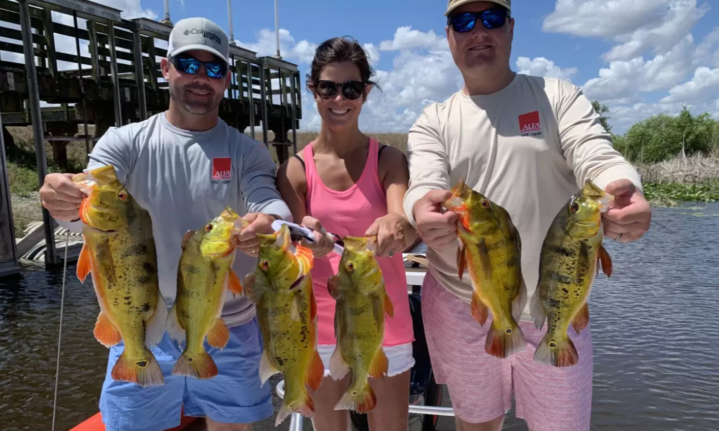 Peacock Bass Fishing for 1, 2, or 4 or Offshore Fishing for 4 or 6