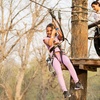 Image 2: Iconic Ziplines, Treetop Circuits & Outdoor Fun for All Ages