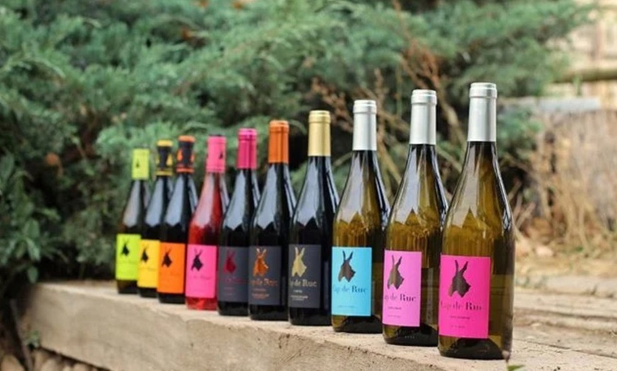 Image 5: Visita y cata de vinos alta gama