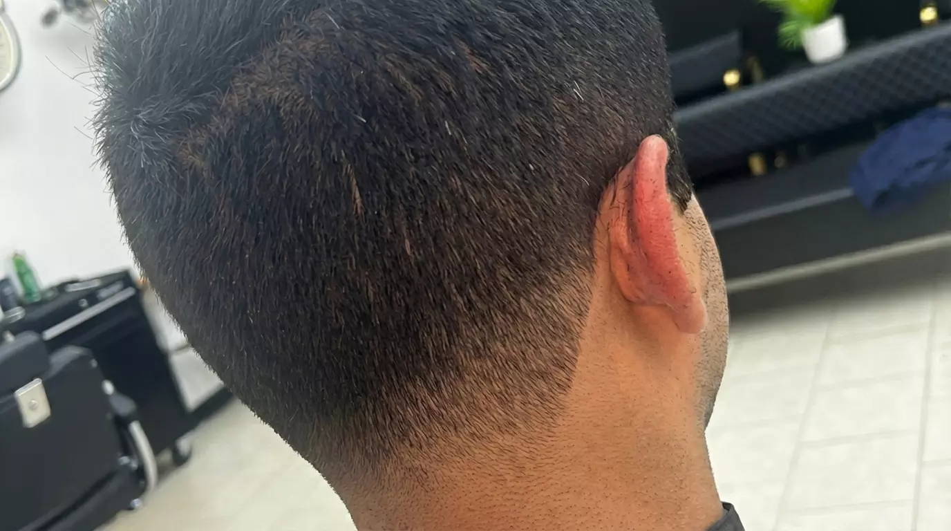 Get One Men's Haircut or Haircut and Beard