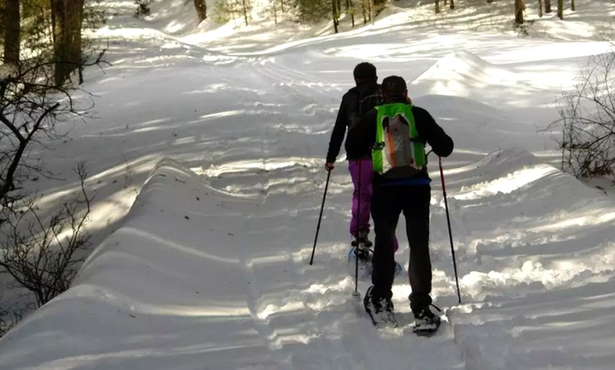 Image 2: Excursión con raquetas por la Sierra de Guadarrama para 1 o 2 personas