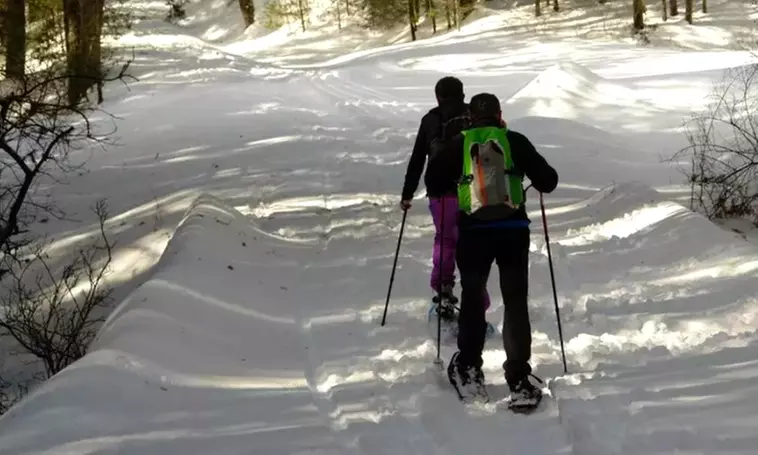 Excursión con raquetas por la Sierra de Guadarrama para 1 o 2 personas