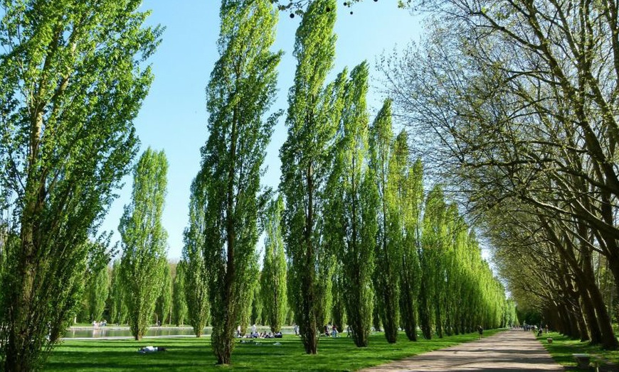 Image 8: ¡Día de naturaleza! Entrada al jardín histórico y botánico Parc Samà