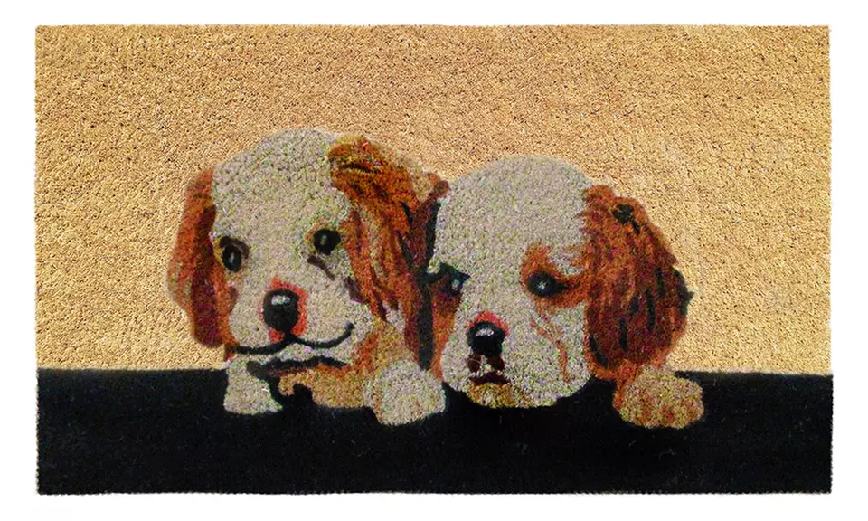 Zerbino in cocco con retro antiscivolo