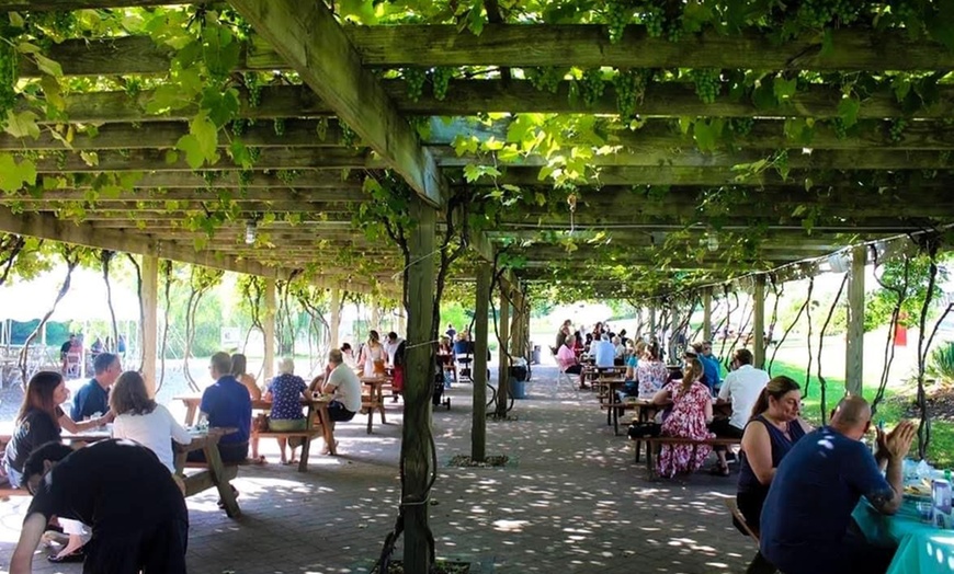 Image 8: Tastings for Two or Four or 6-Bottle Gift Set at Pugliese Vineyards