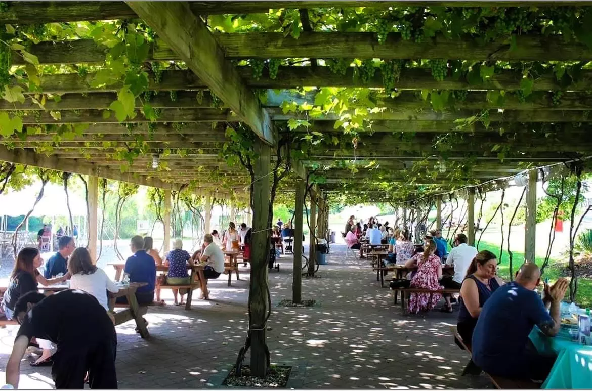 Tastings for Two or Four or 6-Bottle Gift Set at Pugliese Vineyards