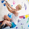 Image 5: Discover the Thrill of Climbing High with Day Pass Access!