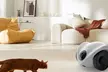 Smart Pet Camera and food dispenser - Image 3