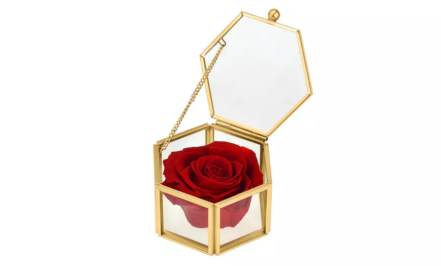Image 4: Rosa eterna