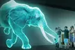 Step Into a Zoo Experience Adventure: One - Five Admissions To Any Hologram Zoo Experience @ Sunshine Coast (Up to 25% Off) - Image 3