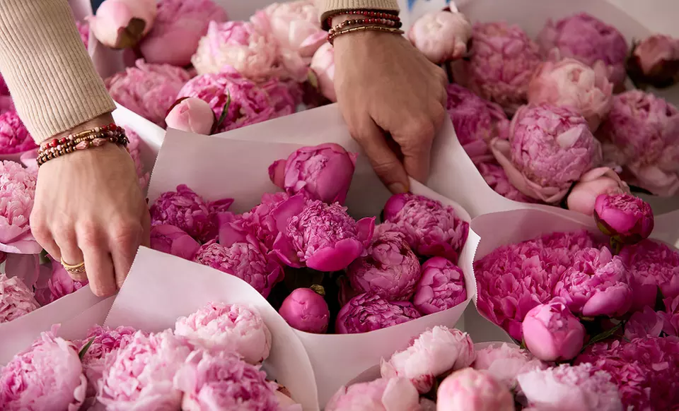 Next Day Delivery Fresh Flowers & Gifts from 1-800-Flowers.com (up to 55% off)