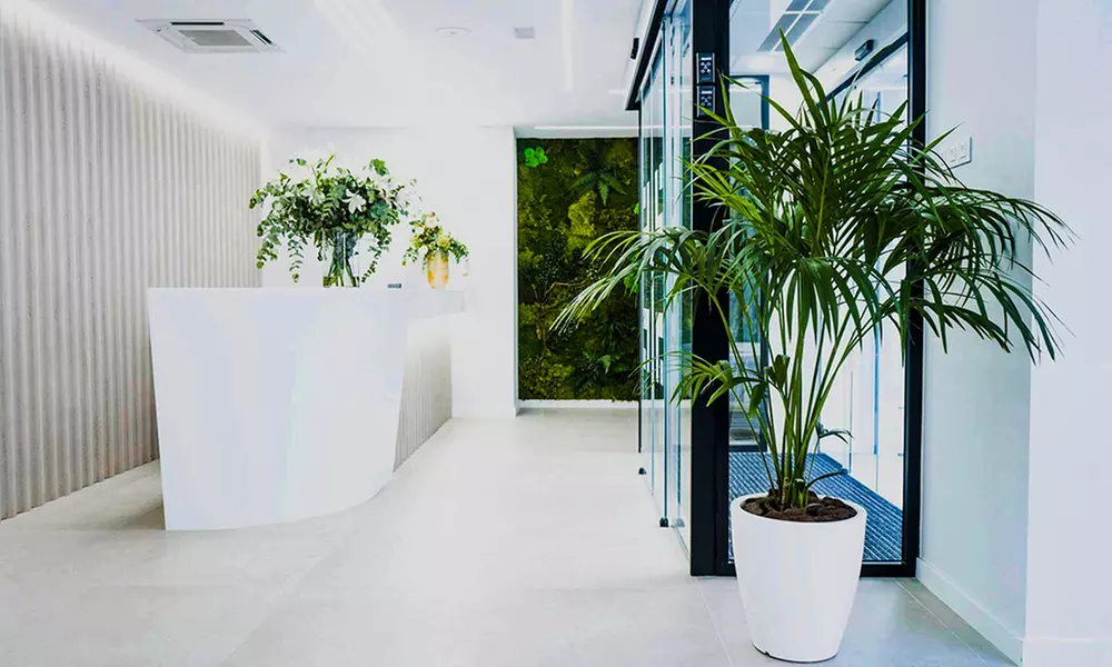 Limpieza facial en 10 pasos con peeling y opción a tratamiento LED, ampolla, presoterapia ocular y más para 1 persona - Image 2