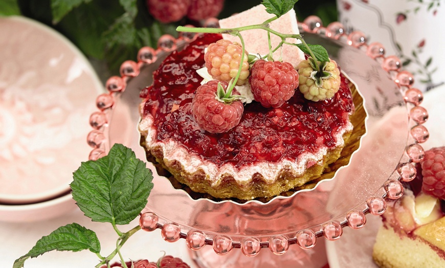 Image 8: Raspberry Growers Choice - 2ltr and 3ltr Potted Plants