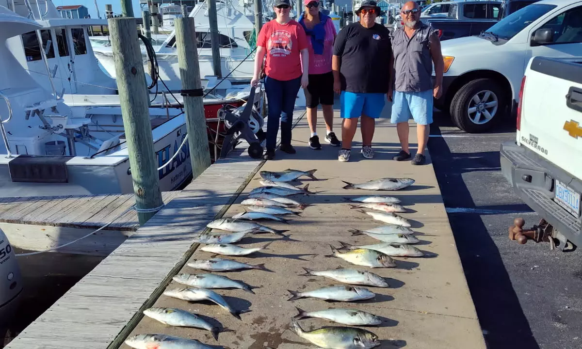 Enjoy 1/2-Day Outer Banks Inshore Fishing Charter (Up to 4 or 6)
