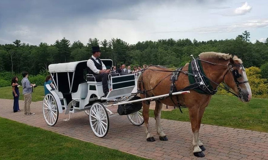 Magical and Scenic Horse-Drawn and Wagon Rides For All Ages