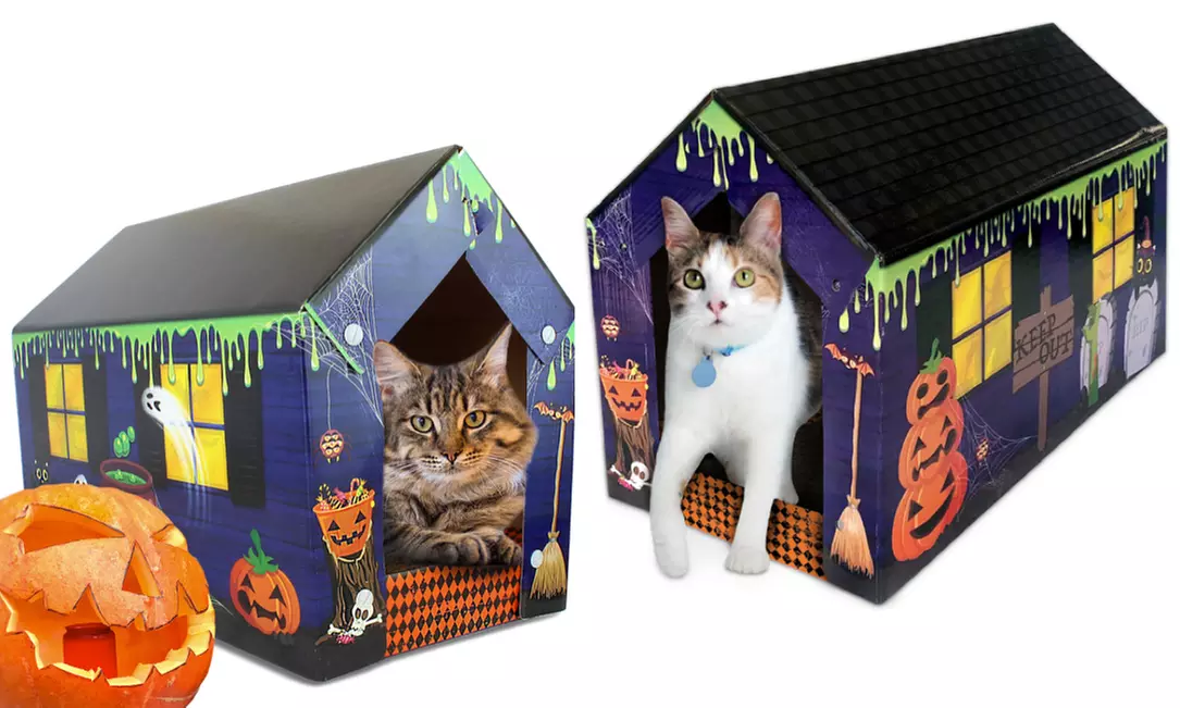 American Cat Club Haunted Cat House & Scratcher with Catnip - Primary Image