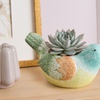 Image 7: Next Day Delivery Plants from 1-800-Flowers (up to 55% off)