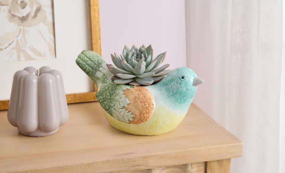 Next Day Delivery Plants from 1-800-Flowers.com (up to 50% off)