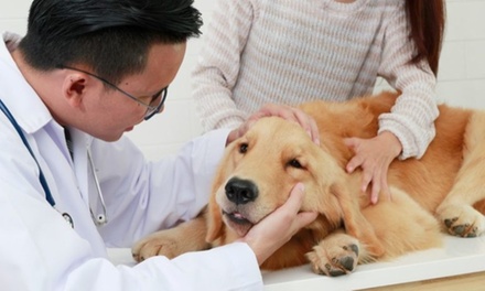Dog Health Care - Compliance Central
