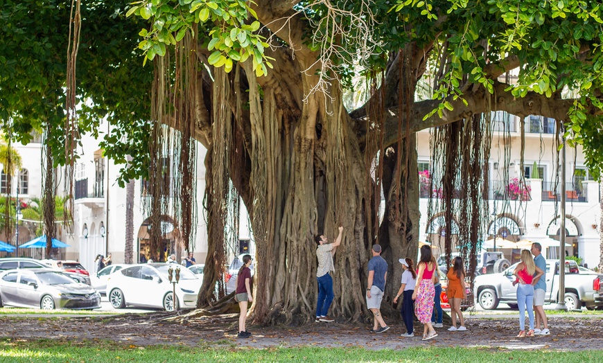 Image 22: Golf Cart Tours St. Petersburg – Explore The Sunshine City