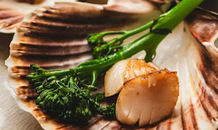 Japanese Dining Experience with a 3-Course Menu and Cocktail