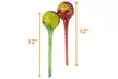 Indoor/Outdoor Plant Self-Watering Globes (Multi Pack) - Second Medium