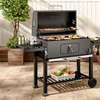 Image 39: Charcoal BBQ Grill with a Trolley in Various Sizes