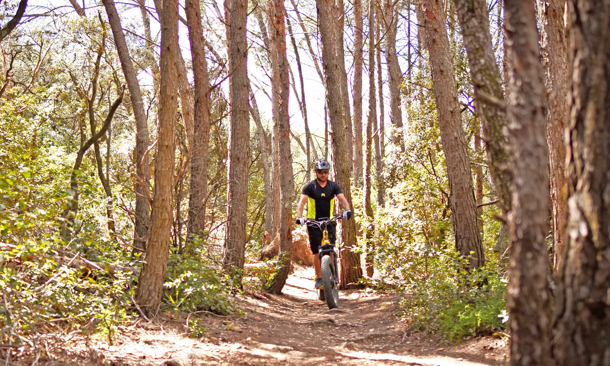 Jusqu'à 41% de remise sur Vélo / Deux roues / Bicyclette - Location chez TROTT EMOTION