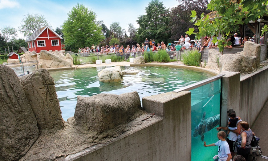 Image 5: Boudewijn Seapark : parc d'attractions en famille