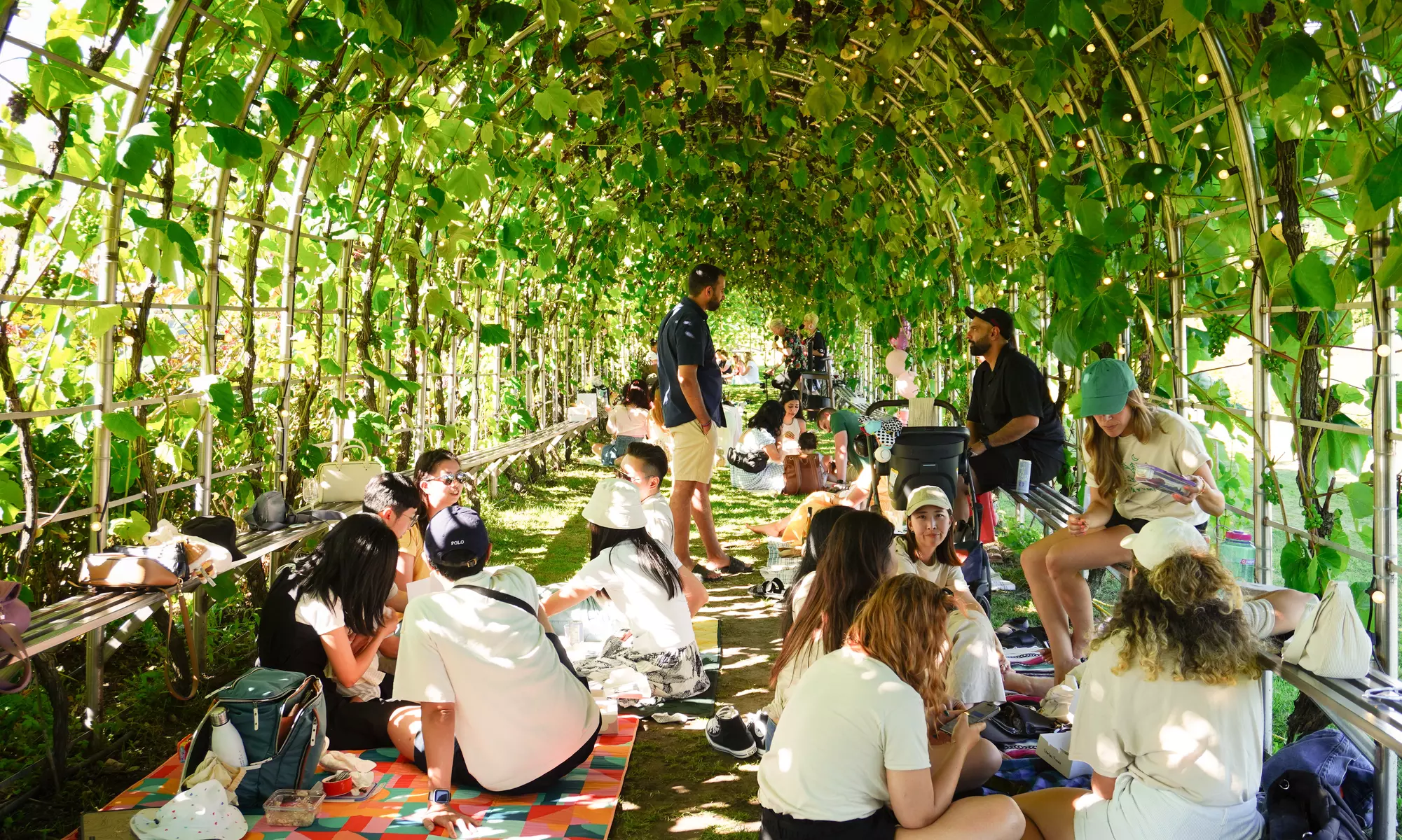 Winery Tour and Tasting for Two or Four at Vancouver’s Largest Winery