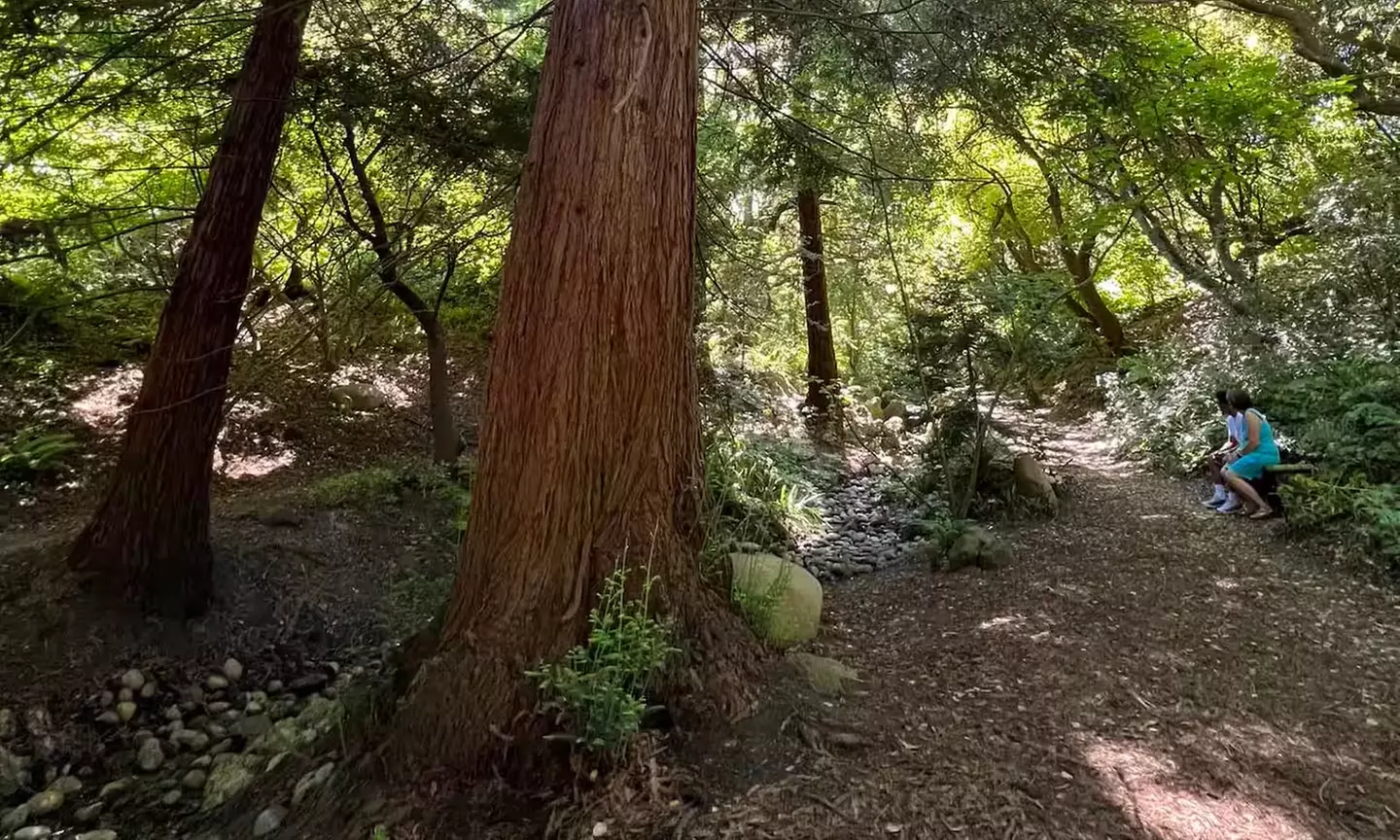 SF's WildSide, Redwood & Hike or Golden Gate Park's Hidden Gems Tour