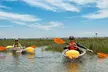 Crystal Clear Kayak 2 Hour Guided Tour - Second Medium