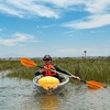 Image 2: Crystal Clear Kayak 2-Hour Guided Tour – Chula Vista Estuary