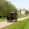 Image 11: Royal Windsor Afternoon Tea Bus Tour | Family Day Out!