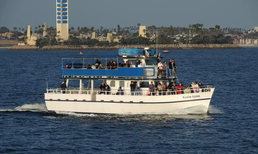 Up to 50% Off Whale Watching and Harbor Tours - Harbor Breeze