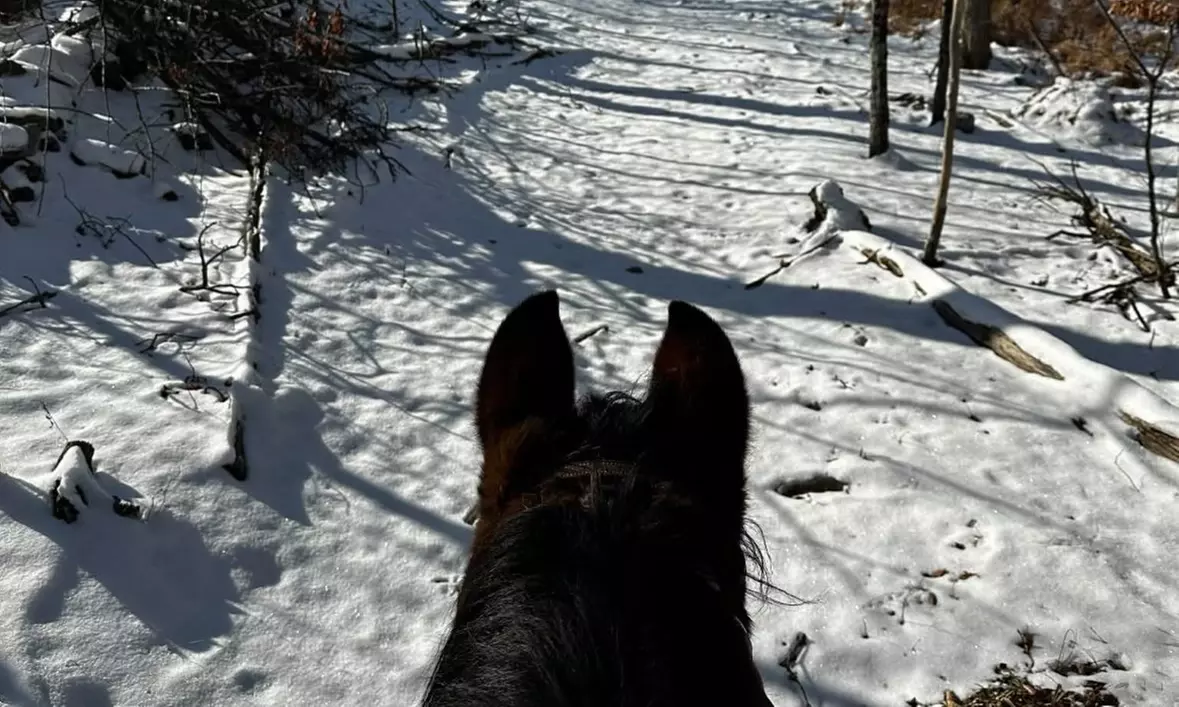 Snowy Horseback Trail Ride Through Hudson Valley (45 Minutes)