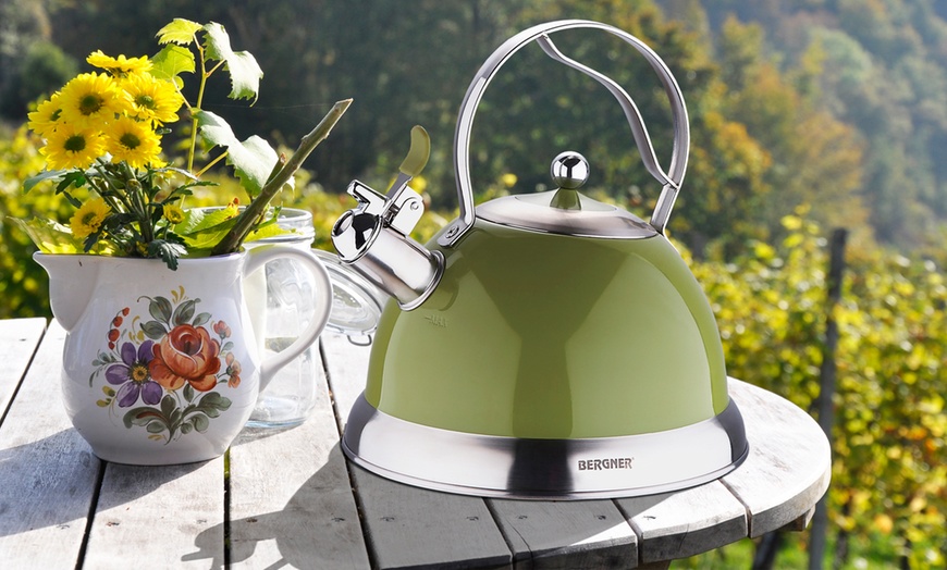 Bergner kettle best sale