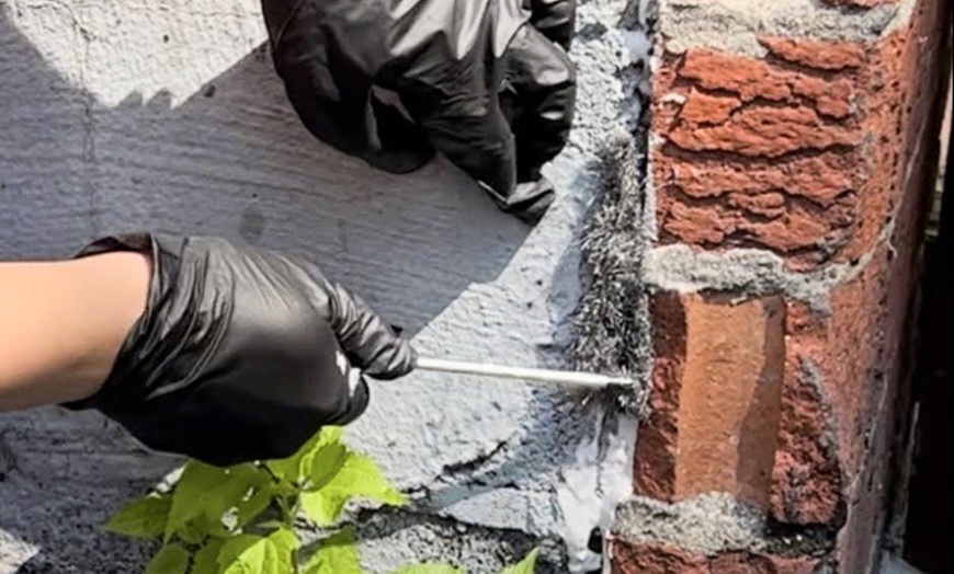 Image 1: Secure your Home with Pest Prevention, Rodent, or Roaches Treatment 