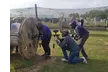 Paintball Admission with Gear for Groups, Parties, and Team Building from Paintball E-Tickets (Up to 94% Off) - Second Medium