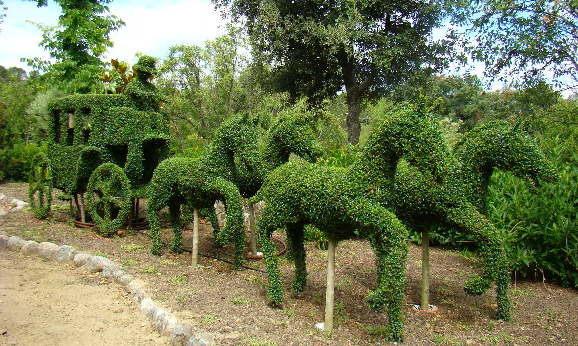Entrada para adulto, niño o packs familiares para El Bosque Encantado