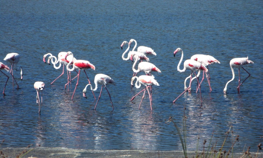 Image 11: Sardegna, Estate 2026: fino a 7 notti in mezza pensione