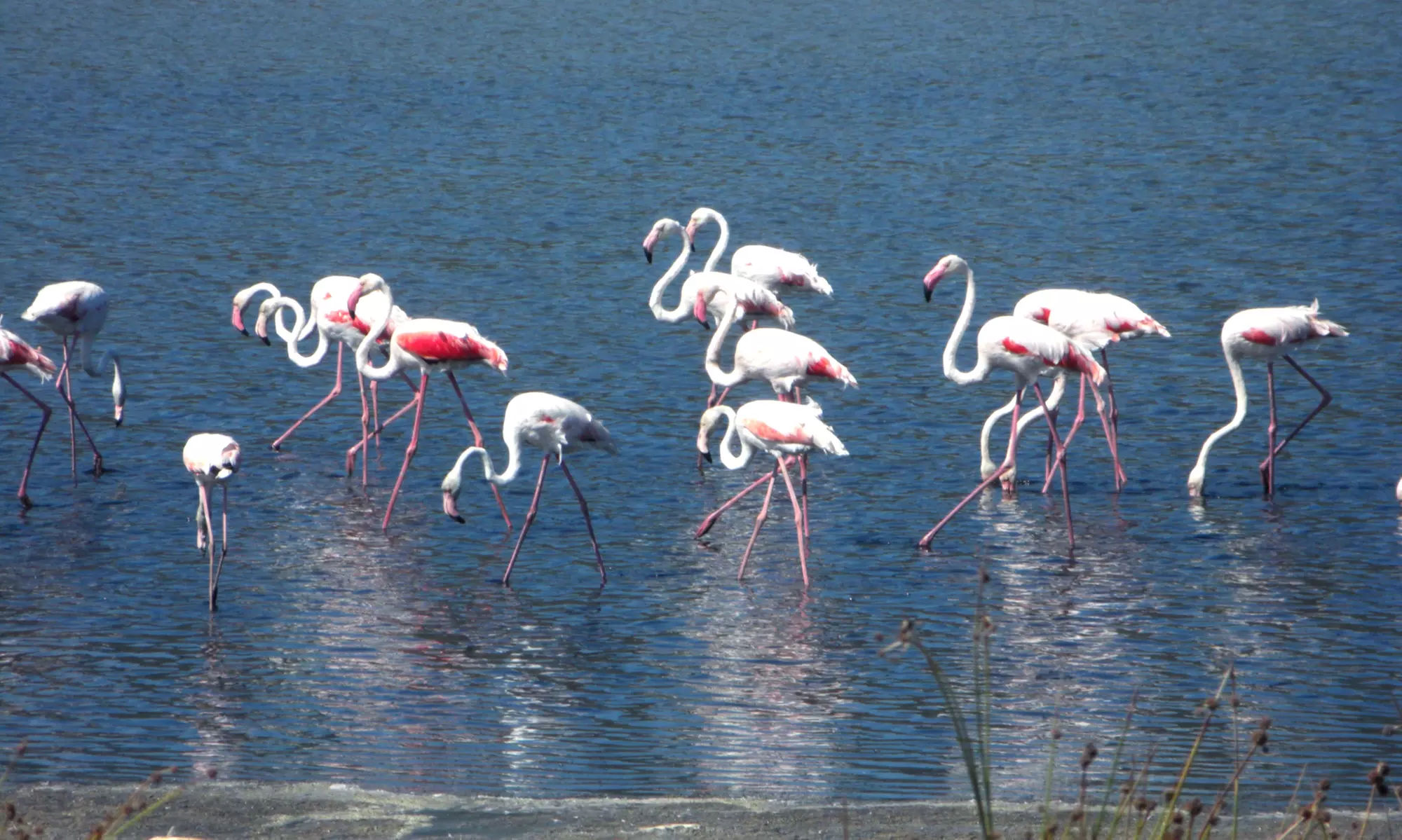 Sardinien: 3-7 Nächte inkl. Halbpension, opt. Strandservice