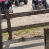 Image 4: One, Two, Three, Four, Five, or Six Rider ATV Rental for One Hour