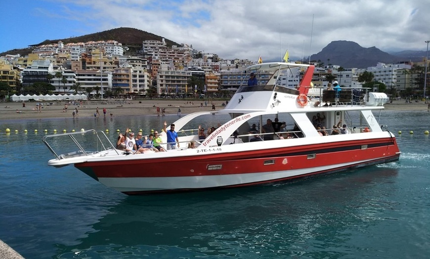 Image 2: Paseo en barco para avistamiento de cetáceos