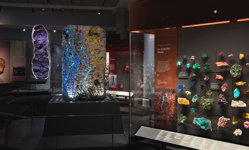 Image 6: American Museum of Natural History - Admission & Special Exhibitions