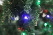Christmas Tree and Decoration Collection - Image 4