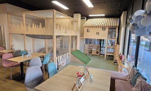 Wejście do sali zabaw: atrakcje przez godzinę lub bez limitu czasu 