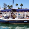 Image 1: 2 Hour Lux Duffy Boat Rental 